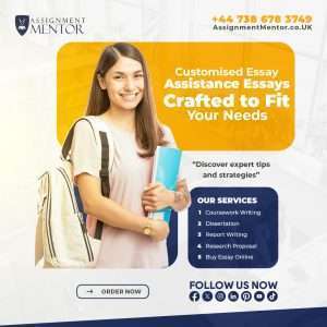 Customised Essay Assistance Essays Crafted to Fit Your Needs